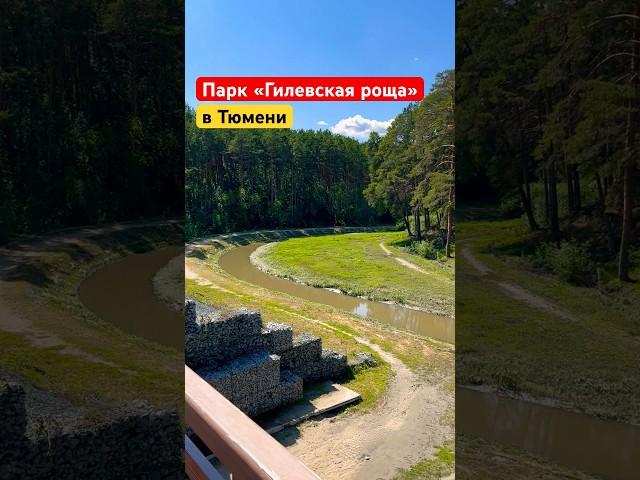 Парк «Гилевская роща» в Тюмени #тюмень #2023 #загороднаянедвижимость