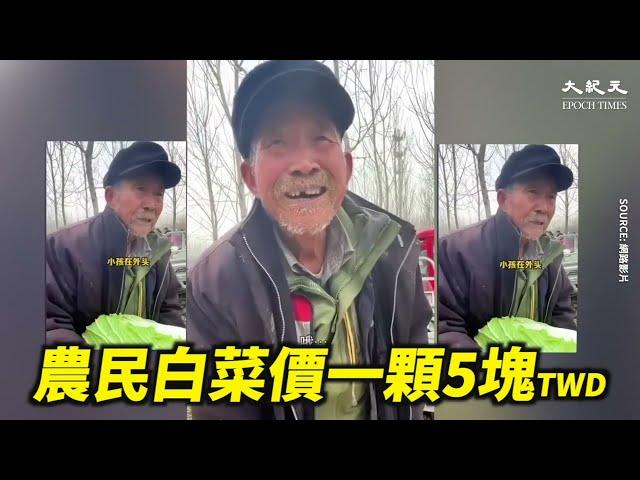 【焦點】中國底層民眾生活艱難農民賣白菜1塊錢6斤  | 台灣大紀元時報