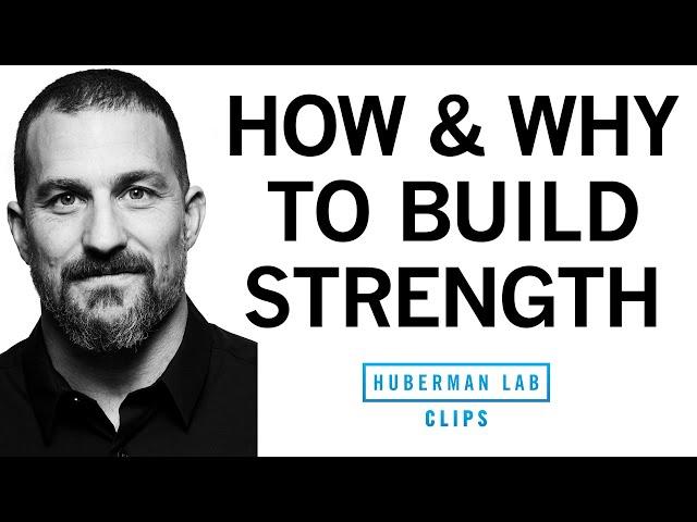 The "3 by 5" Protocol: How & Why to Build Your Strength