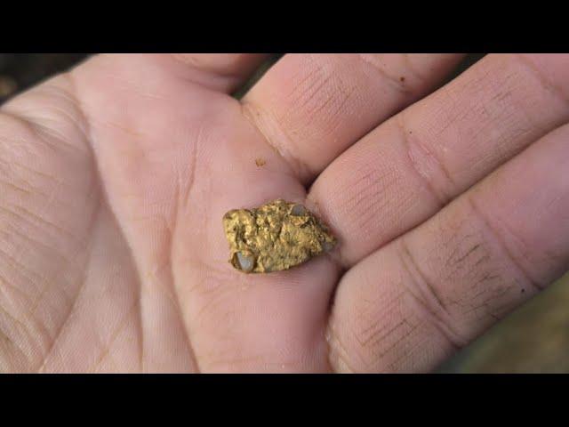 Strikein gold nuggets-Daylesford gold panning #goldpanning