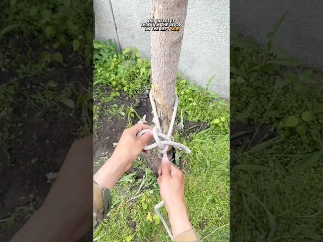 The Knot That Locks Instantly!