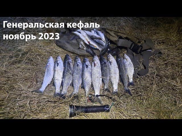 Генеральская кефаль ноябрь 2023 подводная охота 2023 охота на лобана, охота на кефаль, ночная охота