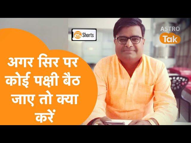 अगर सिर पर कोई पक्षी बैठ जाए तो क्या करें | Shailendra Pandey | Astro Tak #Shorts