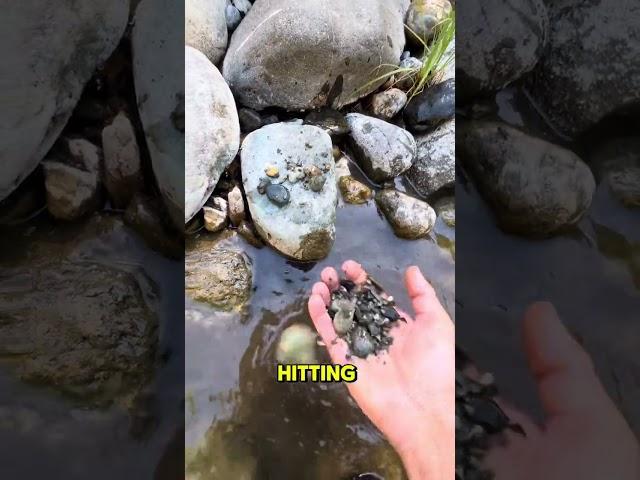 Prospecting  a YUBA River GOLD claim in California Motherlode Country. Panning sluicing