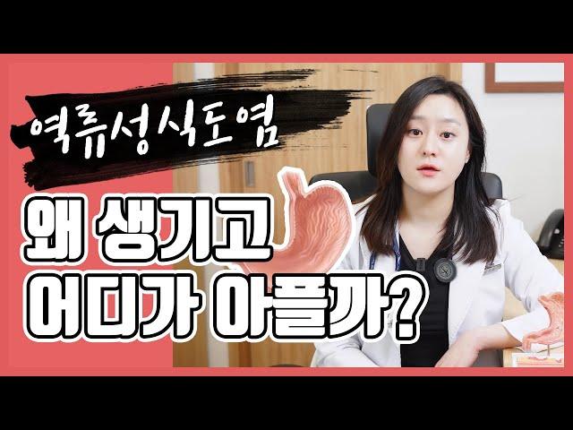 (ENG/CN)내가 역류성 식도염? 역류성 식도염의 원인 증상!