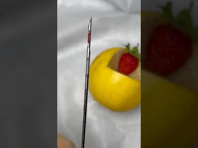 Tru-Cut Biopsy Needle  #goodtoknow #surgeon #funfacts #veterinarian #medicine