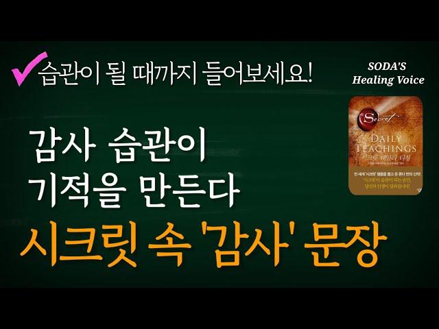 론다 번의 '시크릿 데일리 티칭' 속 감사 문장만! / 감사가 습관이 될 때까지 반복해서 들어보세요! (7번 반복) / Healing Voice Book ASMR