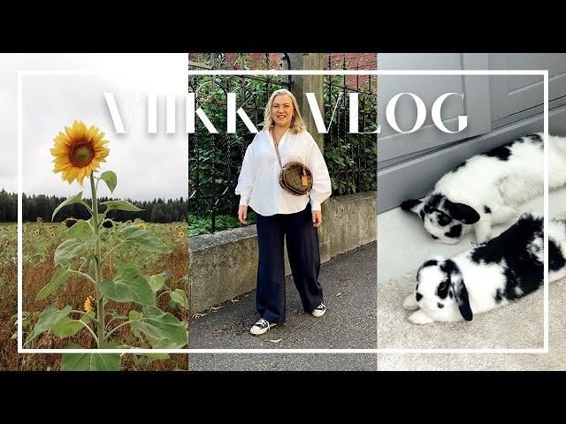 VIIKKO KANSSANI: AURINGONKUKKIA, PMMP:N KEIKKA, VINTAGESHOPPAILUA & TYÖPÄIVIÄ | Katri Konderla