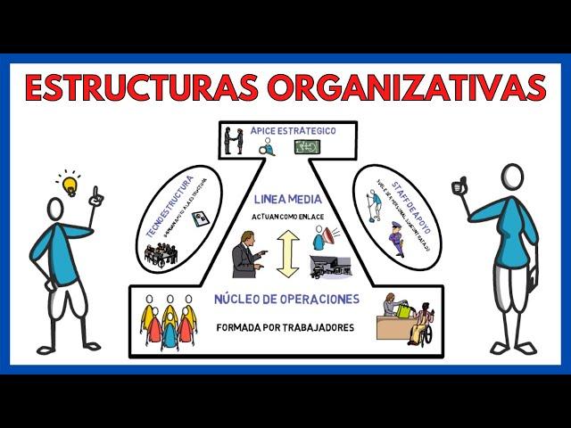 ORGANIZATIONAL STRUCTURES of a COMPANY  Examples | Business Economics 147#