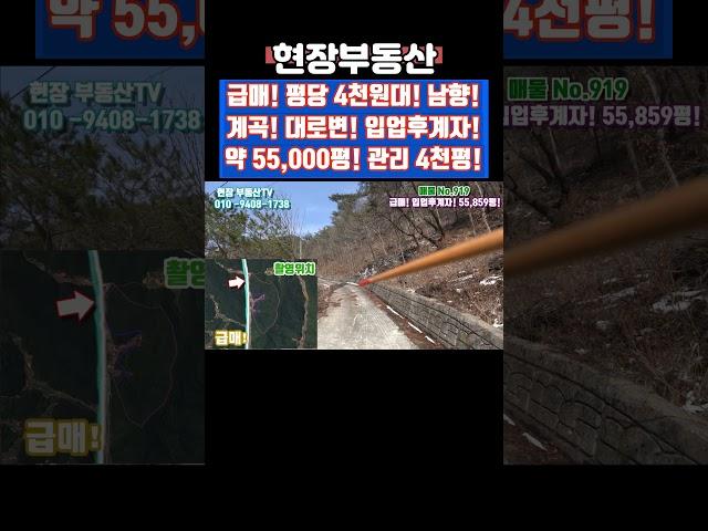 대로변 임야 급매 평당 4천원대 임업후계자 55859평 #급매 #싼땅 #임야 #산 #부동산 #임업후계자 #대로변 #방북리