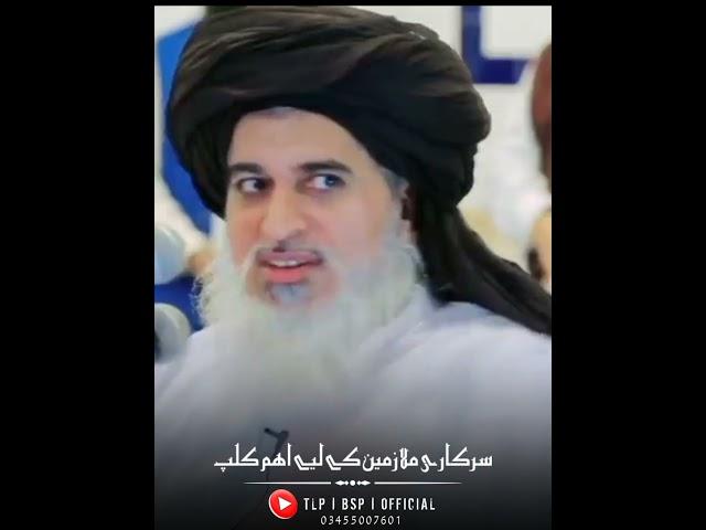 Sarkari Mulazmat | Allama Khadim Hussain Rizvi | Shorts Status | #tlpbspofficial