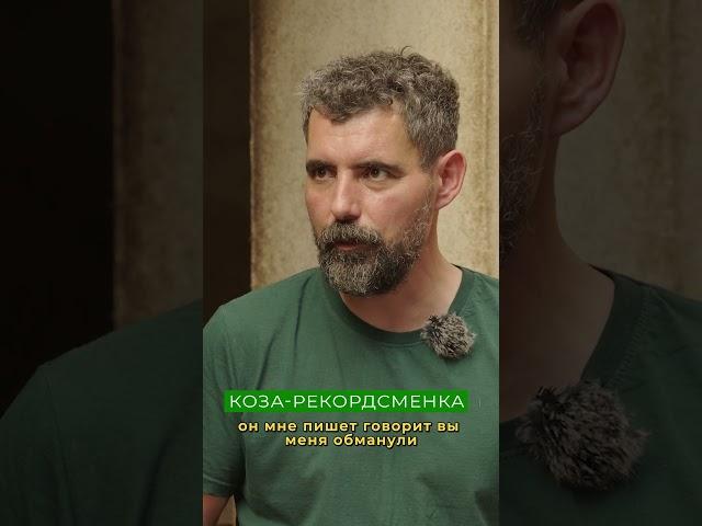 Как условия содержания влияют на надой козы 