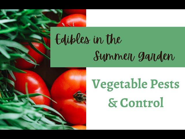 Vegetable Pests and Control