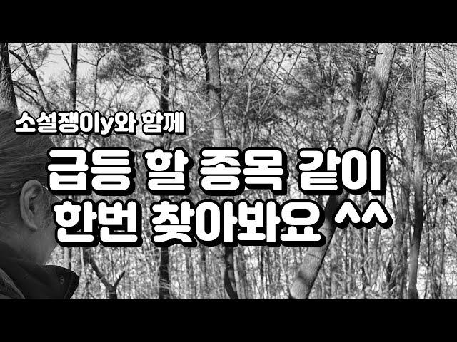 급등 할 종목 같이 한번 찾아봐요 