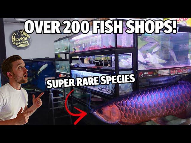 CHATUCHAK TROPICAL FISH MARKET | WALK AROUND TOUR