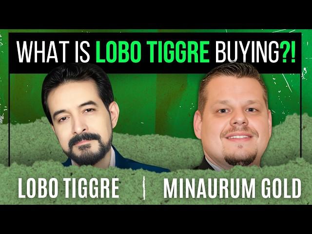 Lobo Tiggre Interview | Minaurum Gold CEO Interview