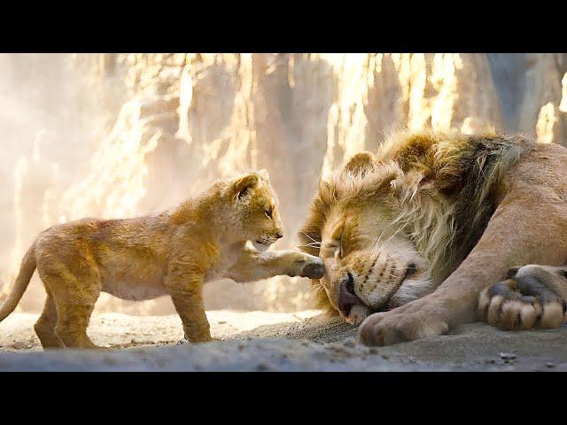 Simba fights to take back his land after his father Mufasa is killed.