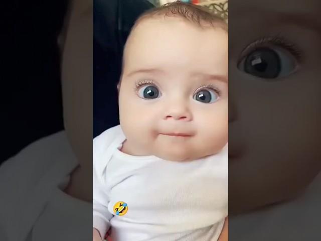 pop pop new version and old version #cute #cutebaby #baby #cutepet #adorable #babyvideos