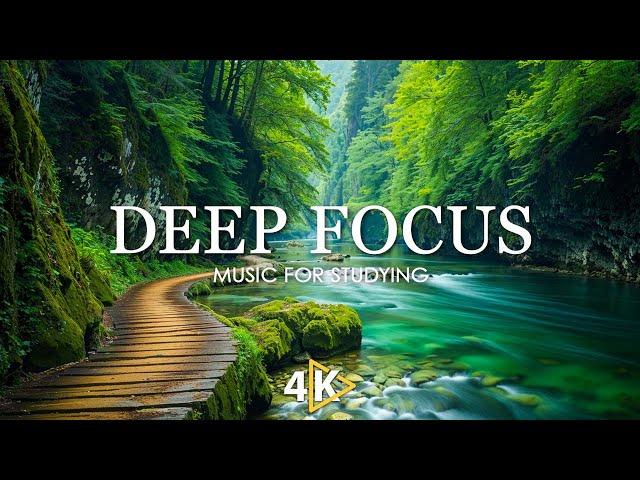 Deep Focus Music To Improve Concentration - 12 Hours of Ambient Study Music to Concentrate #819