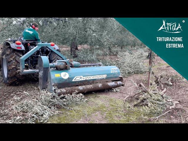 Trincia laterale SUPER ATTILA - Carraro Agricube FB 95