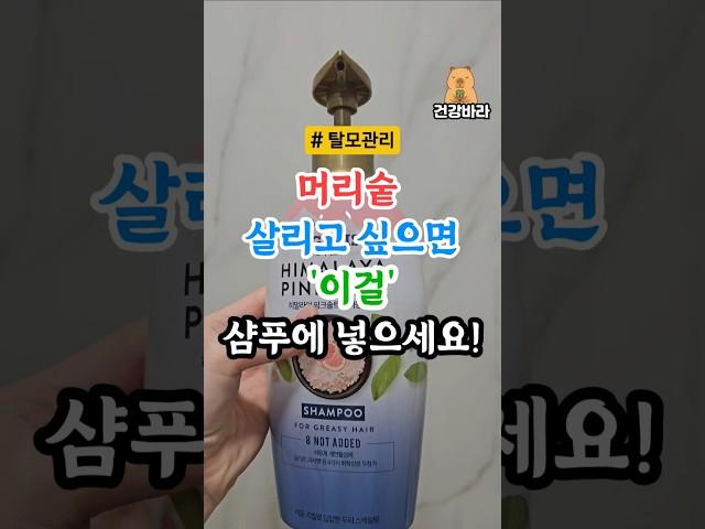 3천원 샴푸에 '이것'넣었더니 머리숱 폭발! 30년 젊어졌습니다!