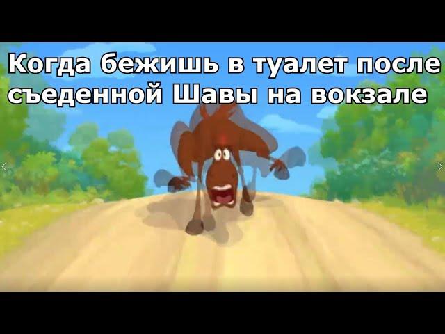 Конь Юлий бежит