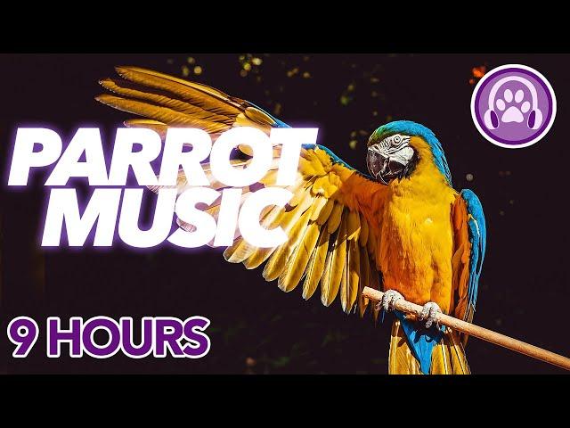 HOW TO Calm a Parrot - Magic Music for Anxious, Stressed or Lonely Birds 