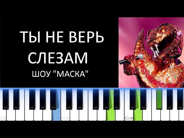 ТЫ НЕ ВЕРЬ СЛЕЗАМ (Фортепиано)