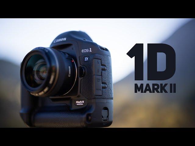 Canon 1D Mark II: Digital Photography’s Coming of Age