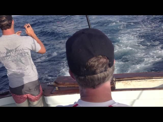 John pulling in a small Dolphin (Mahi Mahi)