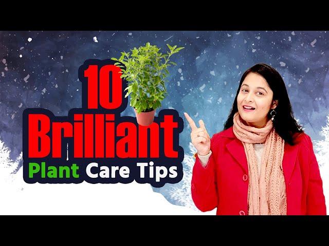 Plants care in winter | How to care plant in winter season | सर्दियों में पौधों की देखभाल करें