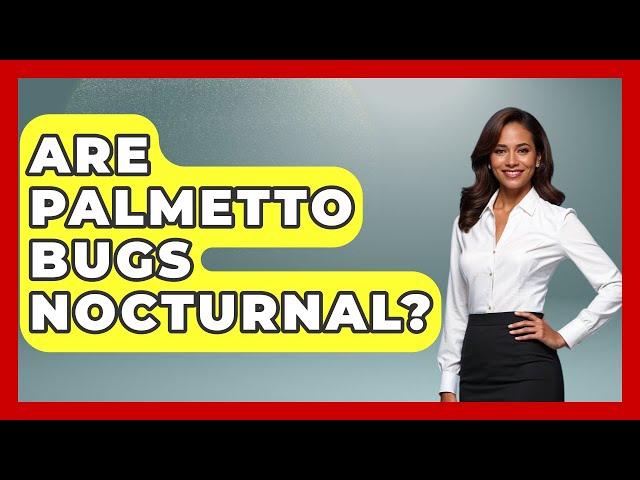 Are Palmetto Bugs Nocturnal? - Insects and Invaders