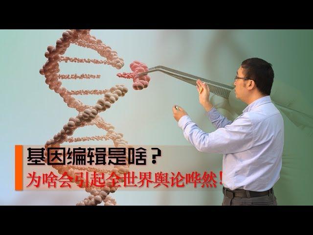 What is Gene Editing? How does CRISPR/cas9 modify DNA? Li Yongle talks about Genetic Engineering(1)