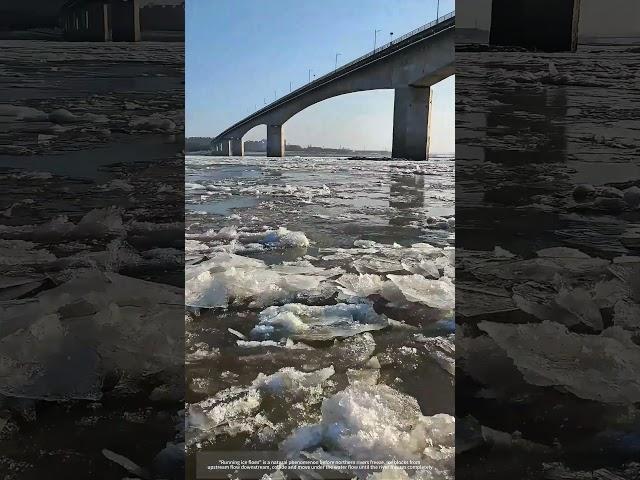 Ice Floes Running Before Rivers Freezing !