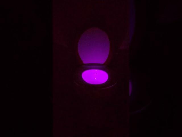 20160815 Glowbowl Toilet Lamp