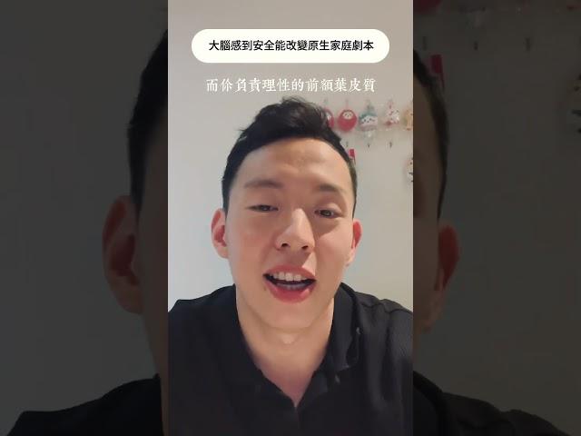 大腦安全能改變你原生家庭的劇本 #內在轉化 #原生家庭 #人間心理 #腦神經學 #大腦放鬆 #大腦應用