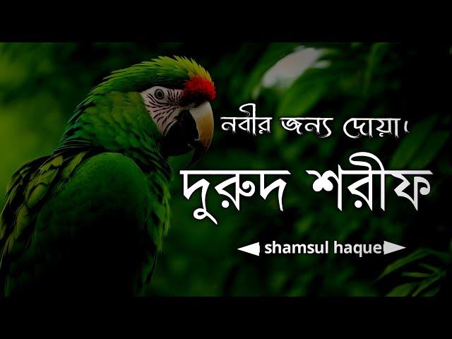 নবীর জন্য দোয়া - দুরুদ শরীফ এক ঘণ্টা। Healing Recitation of Durood Sharif (Durood e Ibrahim)