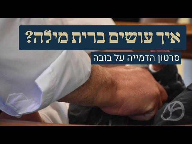 איך עושים ברית מילה? סרטון מתוך קורס מוהלים של מכון עליה