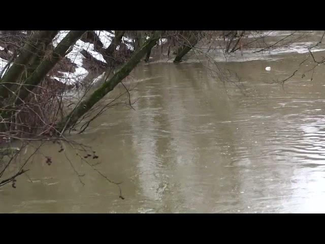 Подьём уровня воды в реке Десна что протекает по городу Троицк.  съёмка в РЦ Красная Пахра