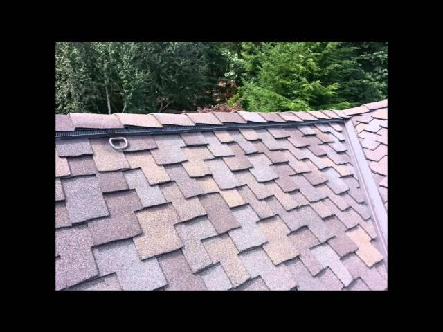 Ridge Vent Pro Roofing