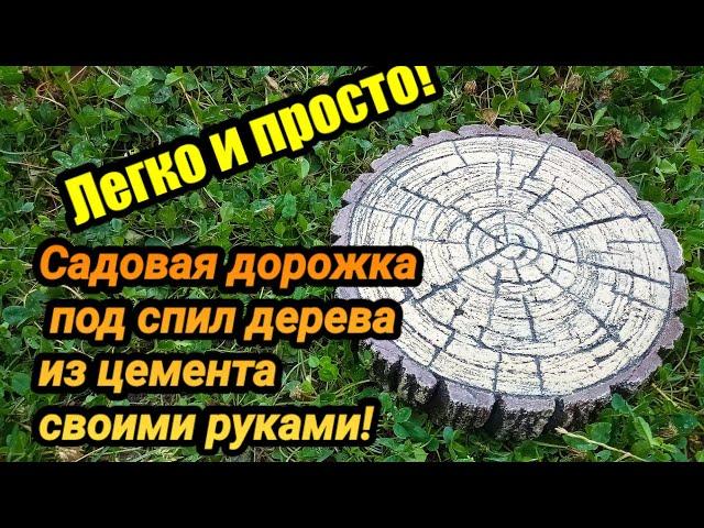 Садовая дорожка под спил дерева из цемента своими руками.