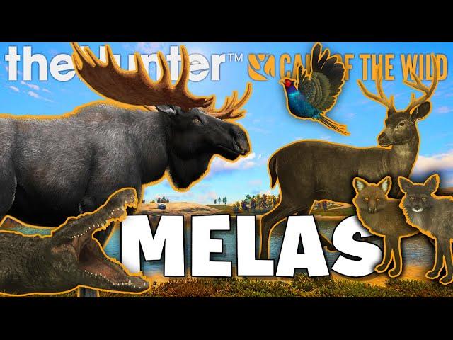 MOST INSANE MELAS in Call of the Wild!!!