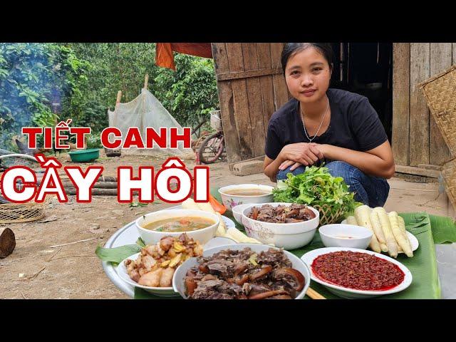 Tiết Canh và Thịt Cầy Hôi - Món Ngon Từ Hoang Dã