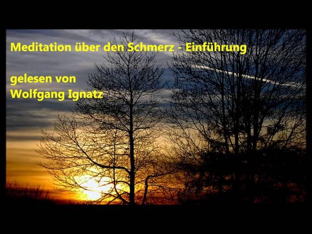 Meditation über den Schmerz - Einführung (Wolfgang Ignatz)