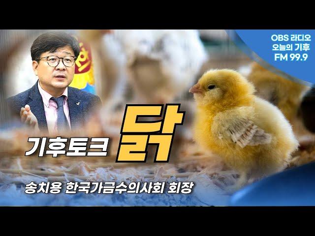 공장식 축산인가? 현대식 축산인가? 조류독감, 유기농 닭은?...송치용 가금수의사회장