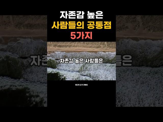 자존감 높은 사람들의 공통점 5가지 #자존감 #감성쇼츠 #중년자기관리 #삶의태도 #짧은명언  #자기돌봄 #마음관리 #중년위로 #위로와충격한마디 #자기계발