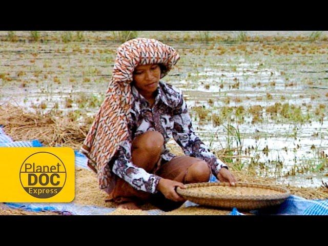 Sulawesi (Indonesia) | Documentary