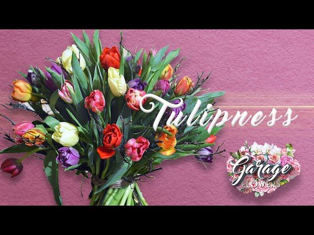 Tulipness - Stunning mix of fresh vibrant Tulips