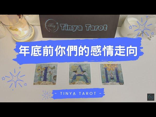 -Tinya Tarot-年底前你們的感情走向無時間限制