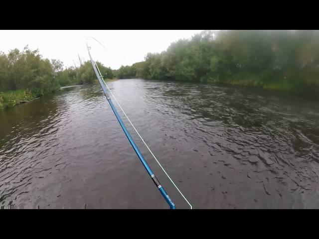 Kamchatka fly fishing - Streamer Fishing